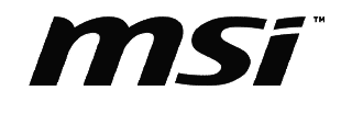 msi_partner