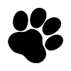 signature_ryo